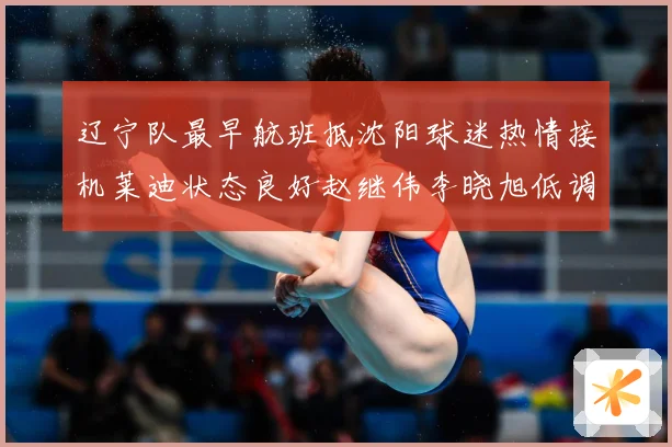 辽宁队最早航班抵沈阳球迷热情接机莱迪状态良好赵继伟李晓旭低调赛场复盘：最新赛事动态与深度分析